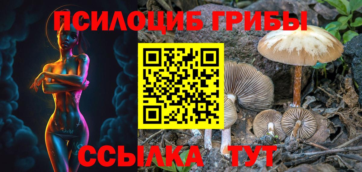 наркошоп  Псилоцибиновые грибы Psilocybine cubensis  Вход с VPN  Сосновоборск 