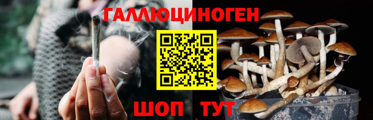 Псилоцибиновые грибы Magic Shrooms Сосновоборск